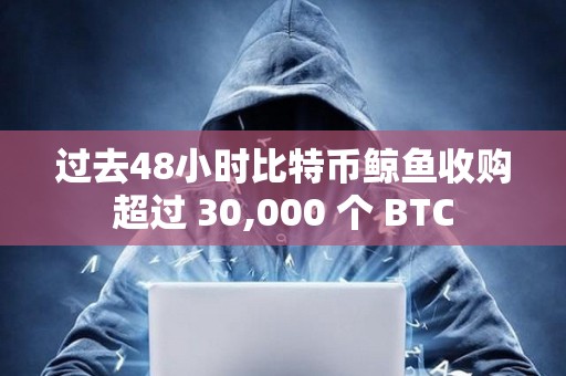 過去48小時比特幣鯨魚收購超過 30,000 個 BTC