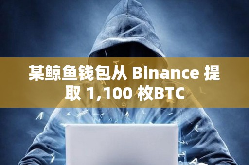 某鯨魚錢包從 Binance 提取 1,100 枚BTC