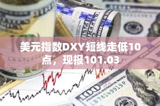 美元指數DXY短線走低10點，現報101.03
