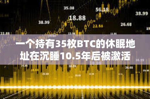 一個持有35枚BTC的休眠地址在沉睡10.5年后被激活