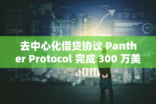 去中心化借貸協議 Panther Protocol 完成 300 萬美元種子輪融資