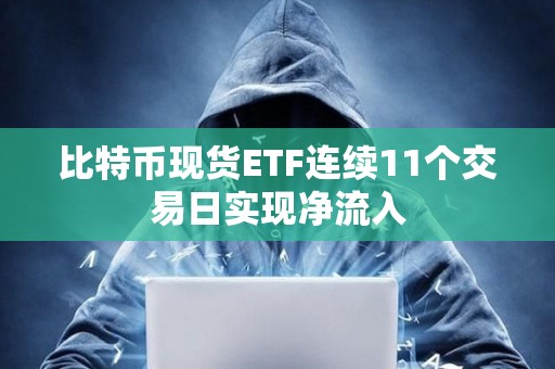 比特幣現貨ETF連續11個交易日實現凈流入
