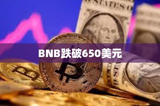BNB跌破650美元
