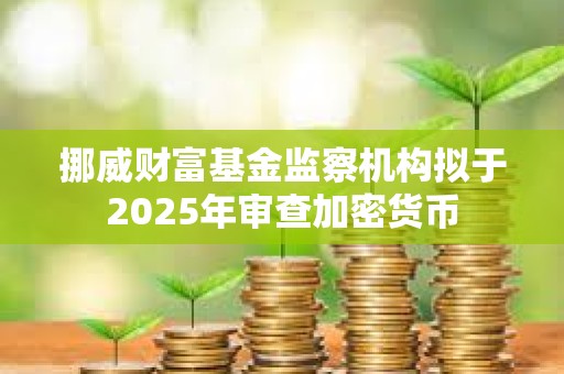 挪威財富基金監察機構擬于2025年審查加密貨幣