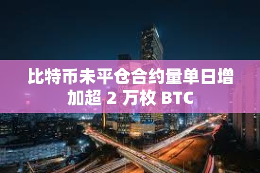 比特幣未平倉合約量單日增加超 2 萬枚 BTC