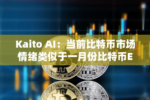 Kaito AI：當(dāng)前比特幣市場情緒類似于一月份比特幣ETF批準(zhǔn)時