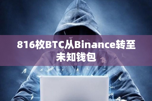 816枚BTC從Binance轉至未知錢包