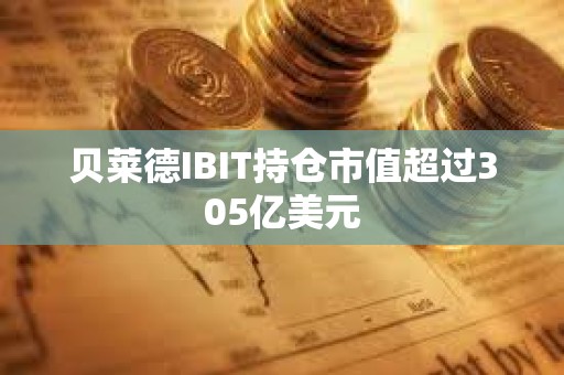 貝萊德IBIT持倉市值超過305億美元