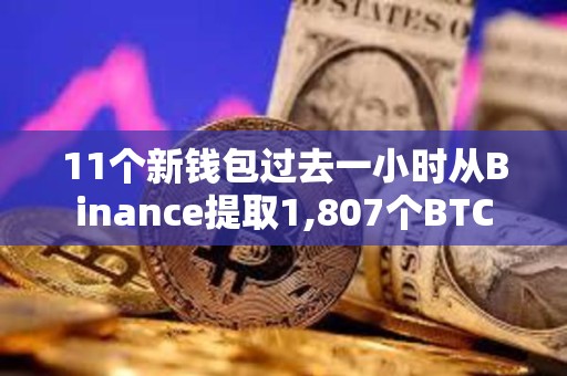 11個新錢包過去一小時從Binance提取1,807個BTC