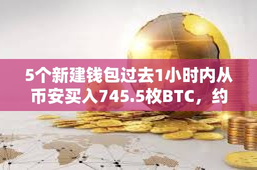 5個新建錢包過去1小時內(nèi)從幣安買入745.5枚BTC，約合5900萬美元