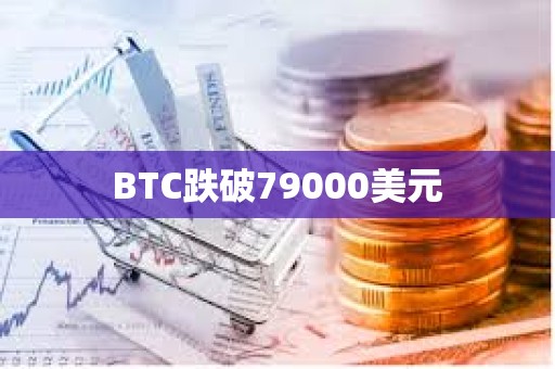BTC跌破79000美元