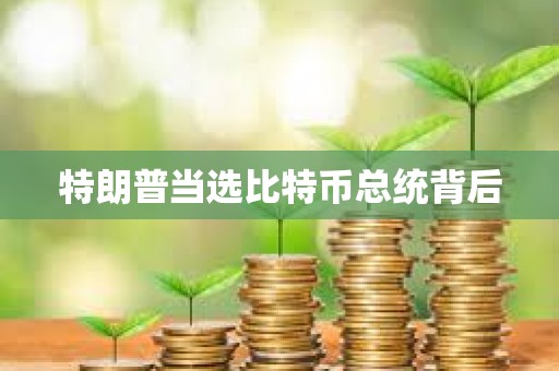 特朗普當(dāng)選比特幣總統(tǒng)背后