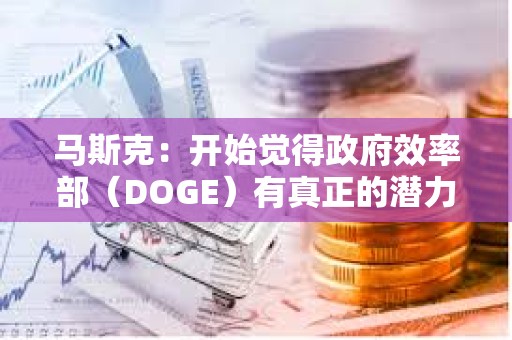馬斯克：開始覺得政府效率部（DOGE）有真正的潛力