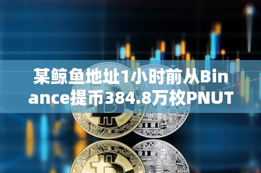 某鯨魚地址1小時前從Binance提幣384.8萬枚PNUT
