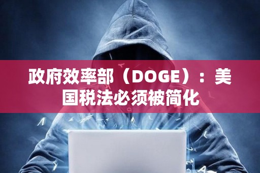 政府效率部（DOGE）：美國稅法必須被簡化