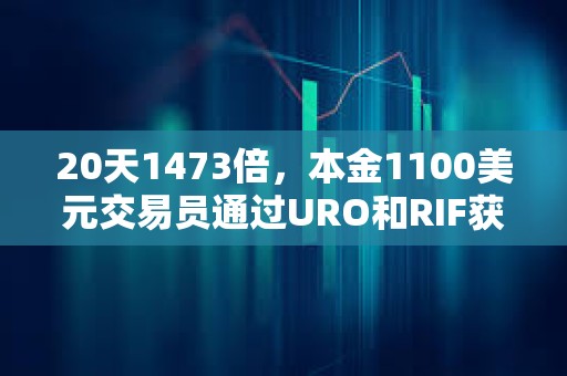 20天1473倍，本金1100美元交易員通過URO和RIF獲取162萬美元利潤