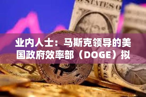 業內人士：馬斯克領導的美國政府效率部（DOGE）擬探索建設區塊鏈選舉系統“eVote”