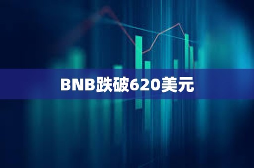 BNB跌破620美元