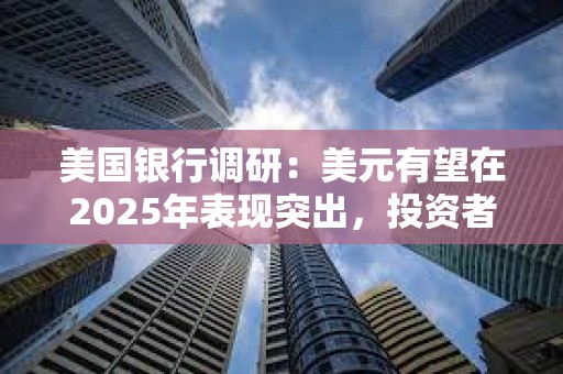 美國銀行調研：美元有望在2025年表現突出，投資者仍預計美元將表現最佳