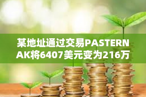 某地址通過交易PASTERNAK將6407美元變?yōu)?16萬美元