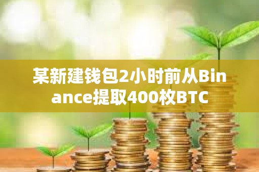 某新建錢包2小時前從Binance提取400枚BTC