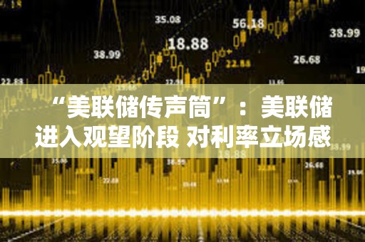 “美聯(lián)儲傳聲筒”：美聯(lián)儲進入觀望階段 對利率立場感到滿意