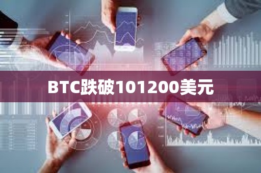 BTC跌破101200美元