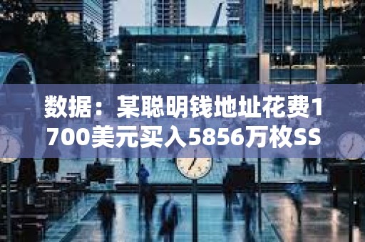 數據：某聰明錢地址花費1700美元買入5856萬枚SSE，現浮盈242萬美元