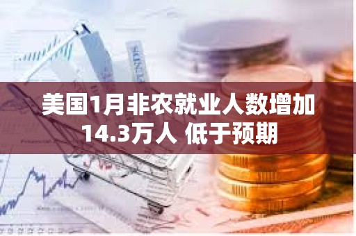 美國(guó)1月非農(nóng)就業(yè)人數(shù)增加14.3萬(wàn)人 低于預(yù)期