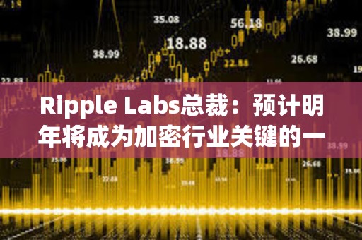 Ripple Labs總裁：預(yù)計(jì)明年將成為加密行業(yè)關(guān)鍵的一年