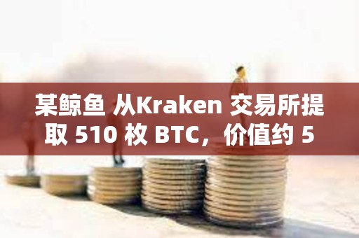 某鯨魚 從Kraken 交易所提取 510 枚 BTC，價值約 5010 萬美元