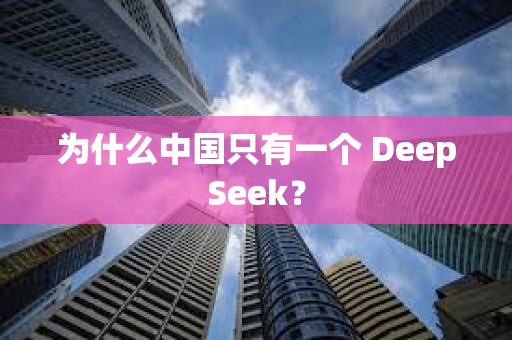 為什么中國只有一個 DeepSeek？