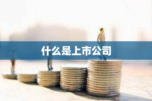 什么是上市公司 什么是上市公司