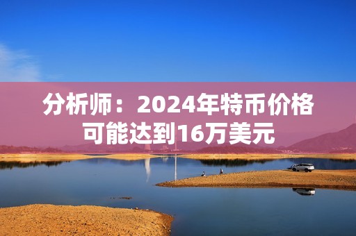 分析師：2024年特幣價格可能達到16萬美元