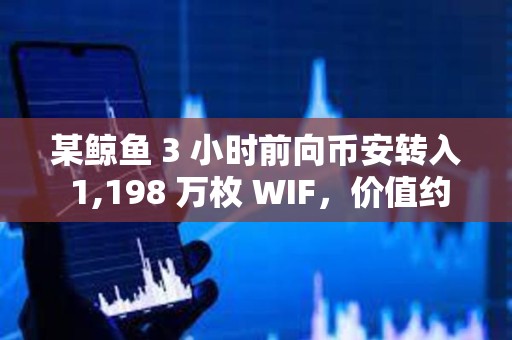 某鯨魚 3 小時前向幣安轉入 1,198 萬枚 WIF，價值約 1,750 萬美元