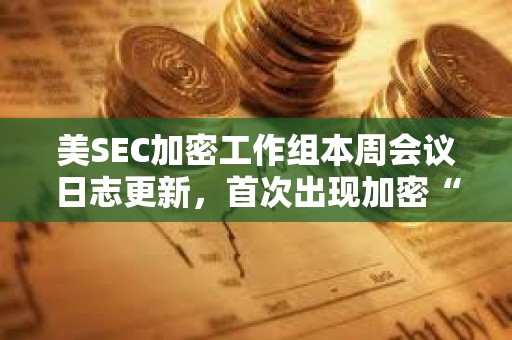 美SEC加密工作組本周會議日志更新，首次出現(xiàn)加密“批評者”參與
