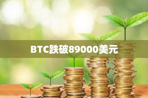 BTC跌破89000美元