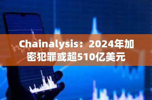 Chainalysis：2024年加密犯罪或超510億美元