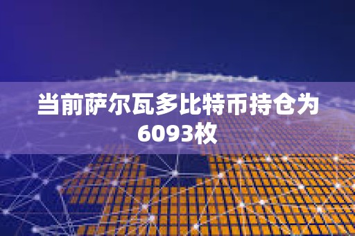 當前薩爾瓦多比特幣持倉為6093枚