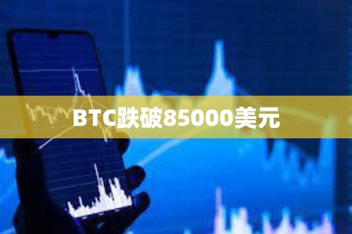 BTC跌破85000美元