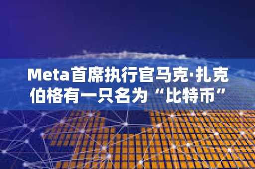 Meta首席執行官馬克·扎克伯格有一只名為“比特幣”的寵物山羊