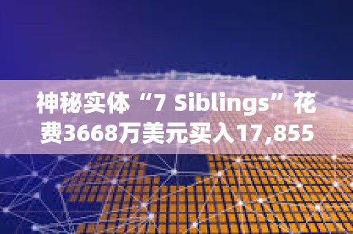 神秘實體“7 Siblings”花費3668萬美元買入17,855.3枚ETH