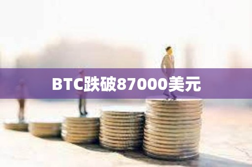 BTC跌破87000美元