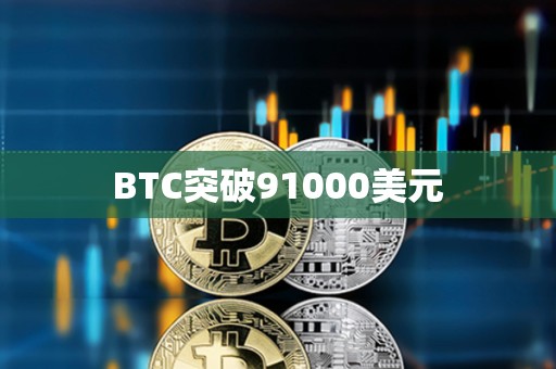BTC突破91000美元
