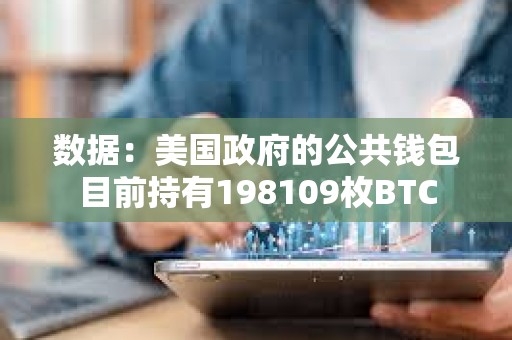 數據：美國政府的公共錢包目前持有198109枚BTC