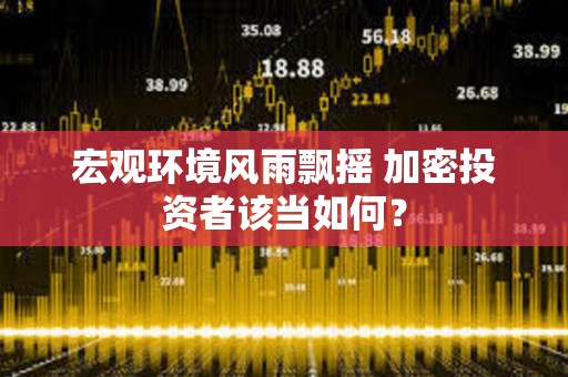 宏觀環境風雨飄搖 加密投資者該當如何？