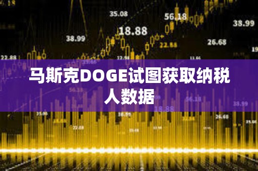 馬斯克DOGE試圖獲取納稅人數據