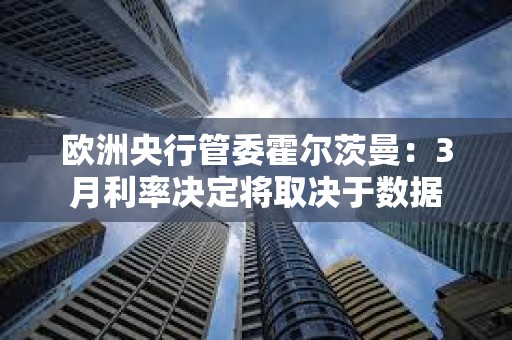 歐洲央行管委霍爾茨曼：3月利率決定將取決于數(shù)據(jù)