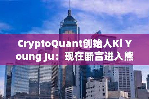 CryptoQuant創(chuàng)始人Ki Young Ju：現(xiàn)在斷言進(jìn)入熊市還為時(shí)尚早