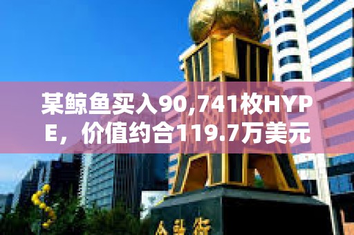 某鯨魚買入90,741枚HYPE，價值約合119.7萬美元